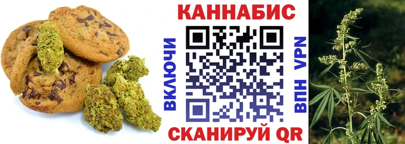 закладка  Мамадыш  Canna-Cookies конопля 