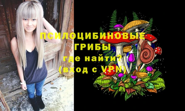ПСИЛОЦИБИНОВЫЕ ГРИБЫ Абдулино