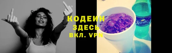 PSILOCYBIN Грязовец